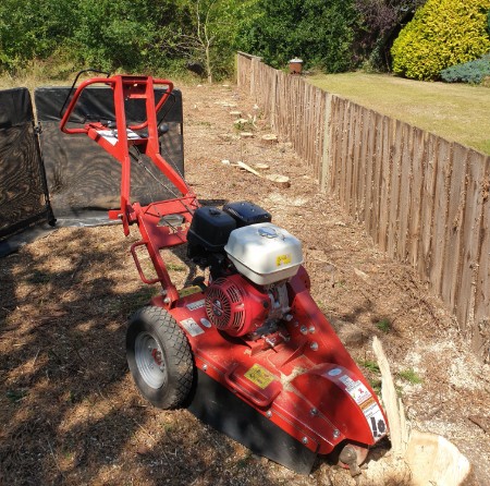 Tree Surgeon Stump Grinding
