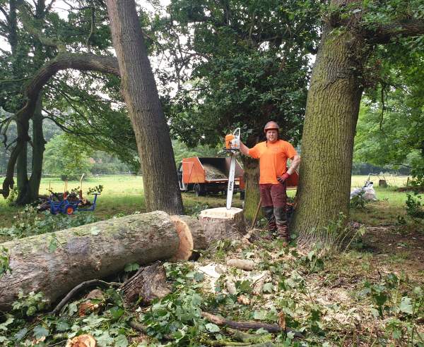 Tree Surgeon Ipswich